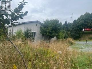 76 Harbour Road, Cape Broyle, Newfoundland & Labrador  A0A 1P0 - Photo 4 - 1290343