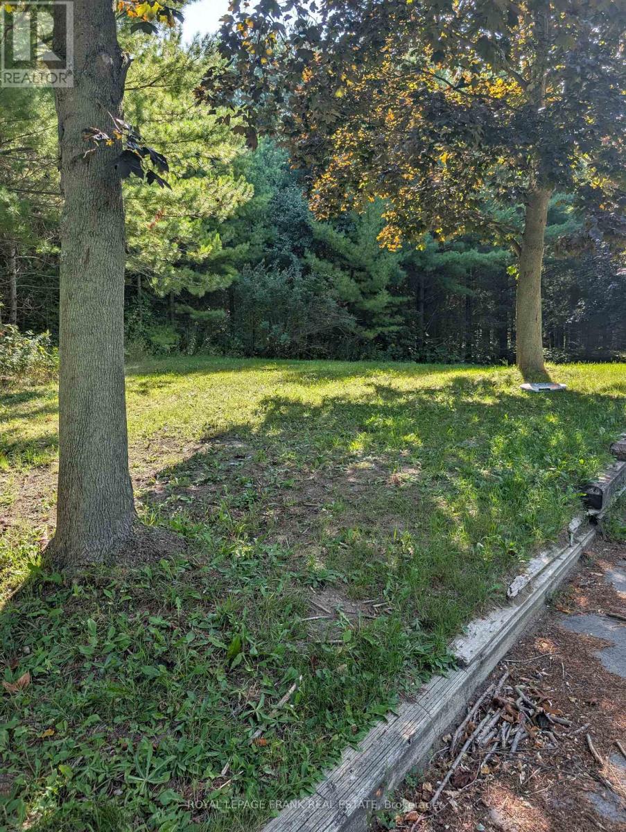 Basement - 8537 Dale Road, Hamilton Township, Ontario  K9A 0T5 - Photo 18 - X12399883