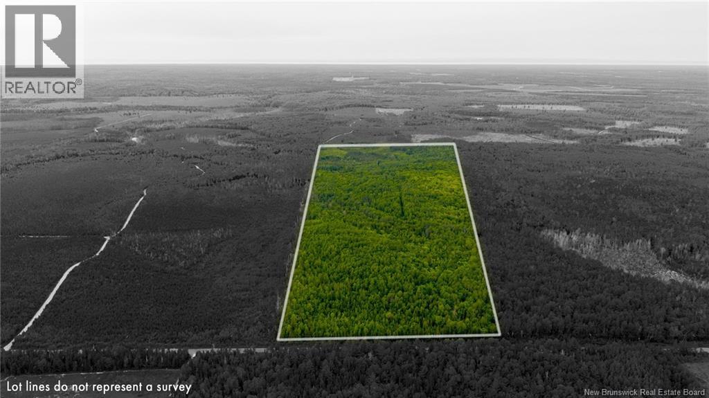 Vacant Land Route 363, Hacheyville, New Brunswick