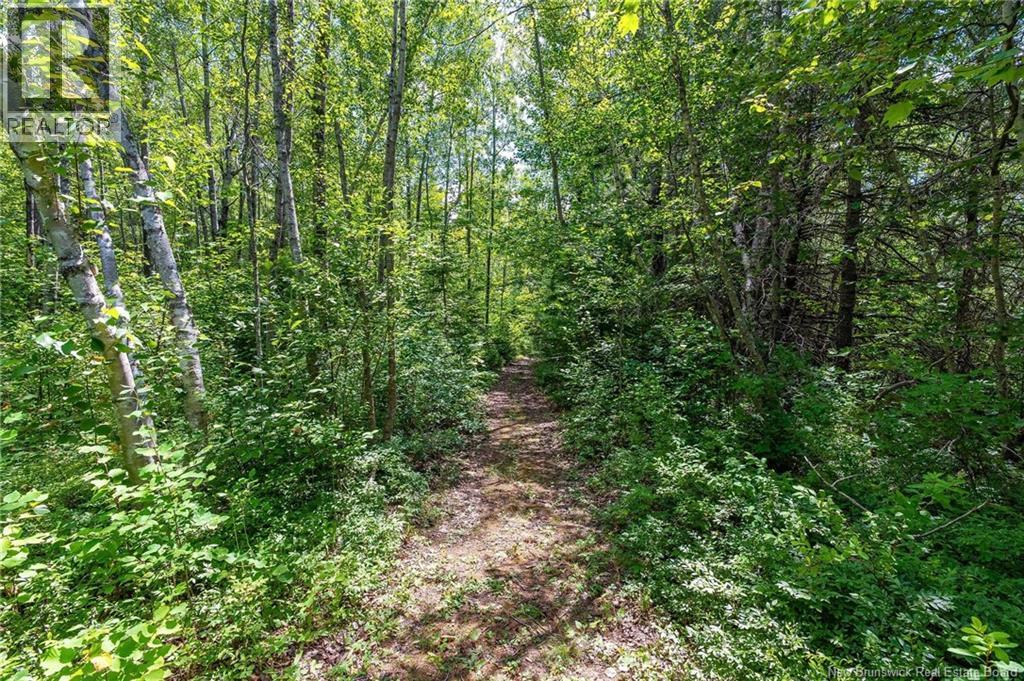 3527 510 Route, Fords Mills, New Brunswick  E4T 1X4 - Photo 10 - NB125790