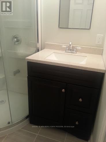 718 Mountview Place E, Newmarket, Ontario  L3Y 3P7 - Photo 30 - N12399725