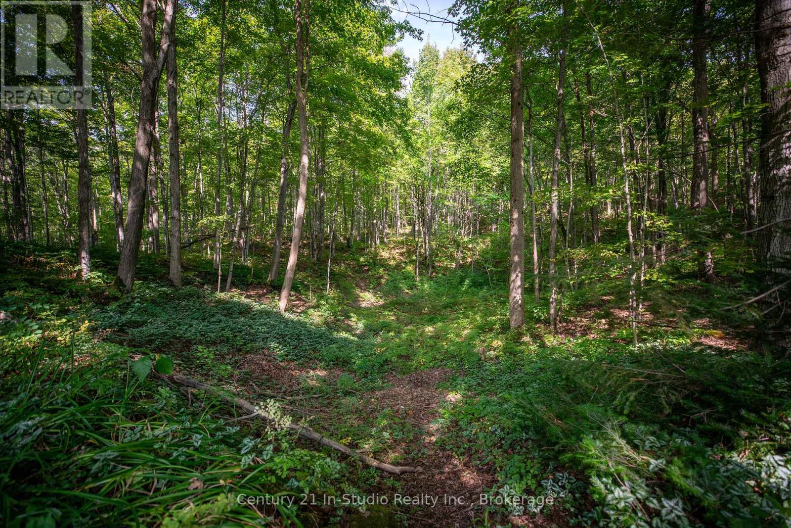540019 80 Side Road, Chatsworth, Ontario  N0C 1H0 - Photo 11 - X12399963