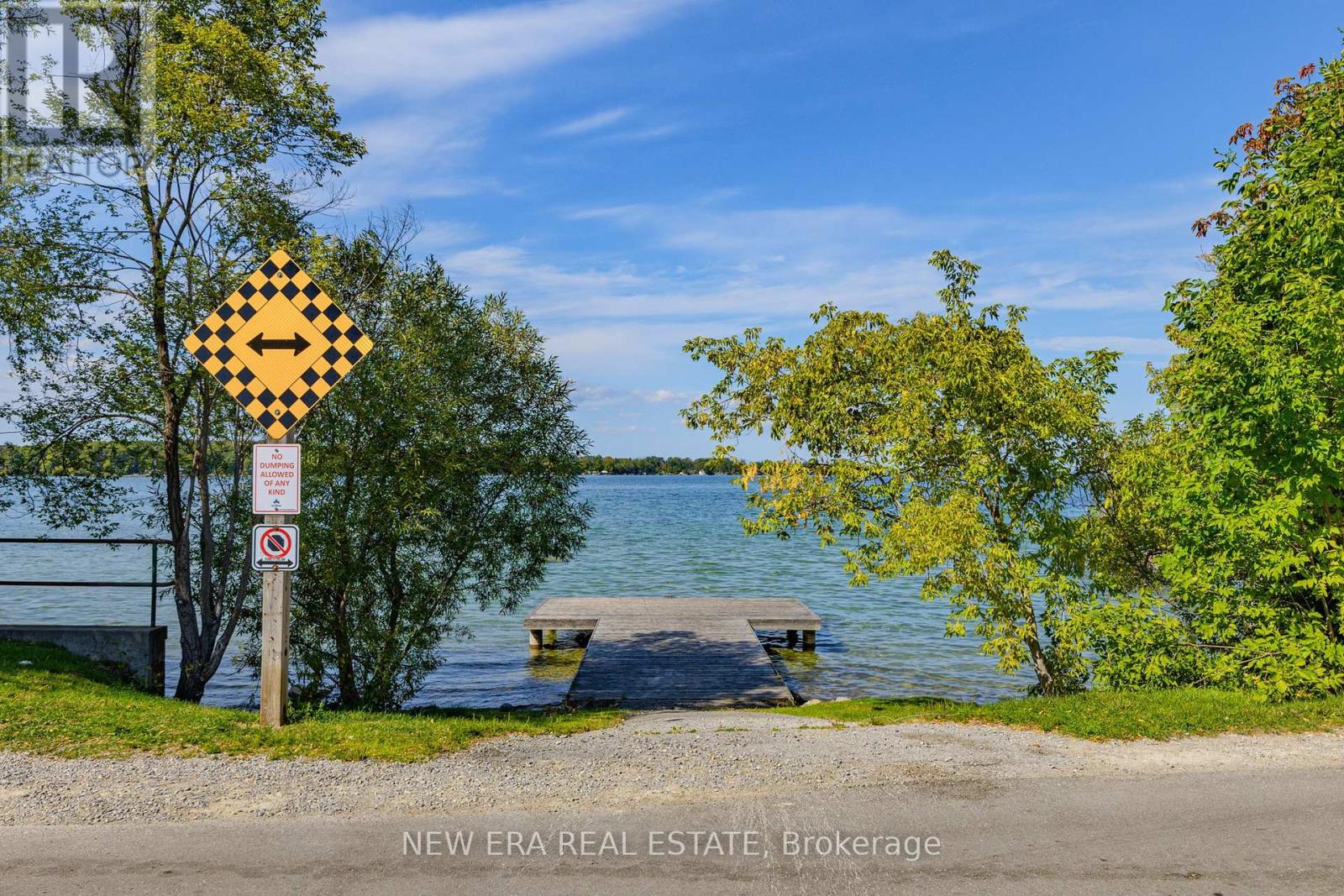 1031 Lake Drive N, Georgina, Ontario  L4P 3E9 - Photo 48 - N12399839