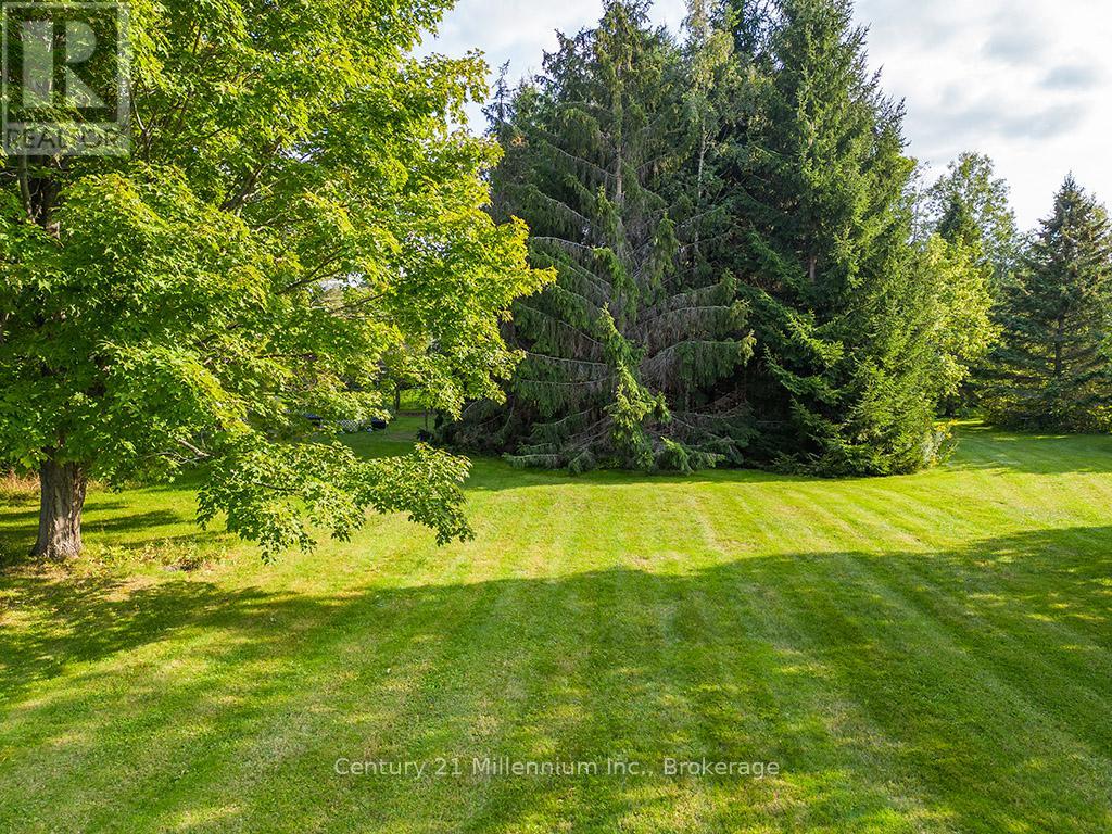 203 Aiken Street, Meaford, Ontario  N4L 1B3 - Photo 25 - X12400059