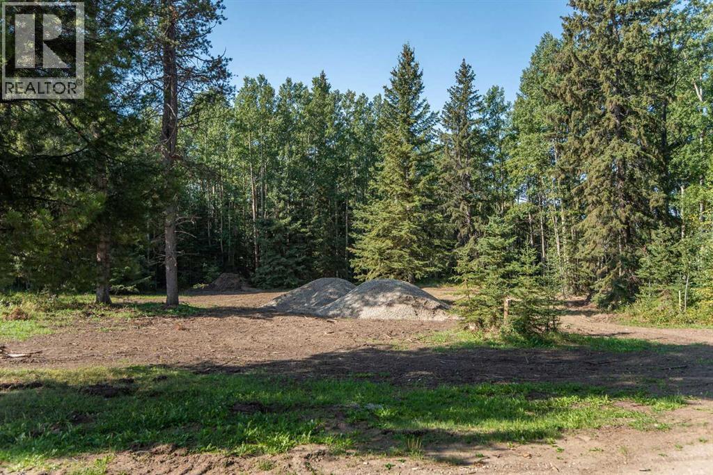 363068 Range Road 50, Rural Clearwater County, Alberta  T4G 0M1 - Photo 4 - A2253006