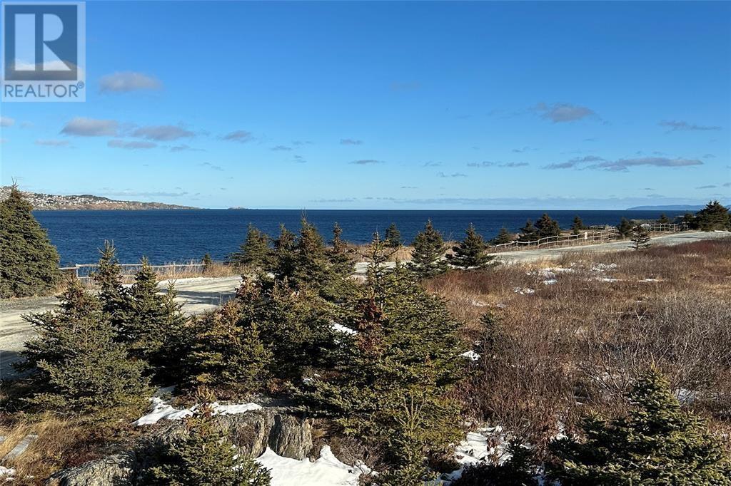 948-950 Water Street, Bay Roberts, Newfoundland & Labrador  A0A 1G0 - Photo 2 - 1281460