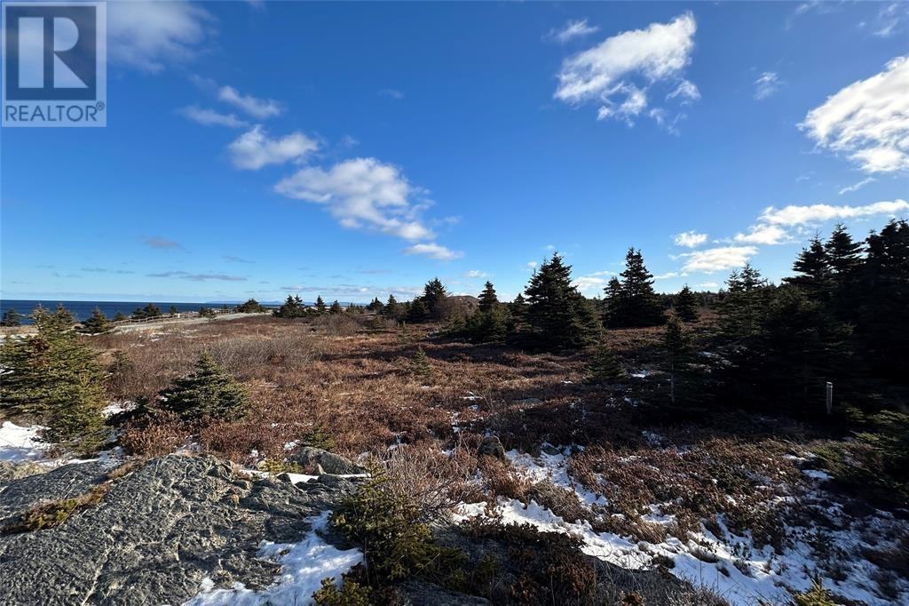 948-950 Water Street, Bay Roberts, Newfoundland & Labrador  A0A 1G0 - Photo 6 - 1281460