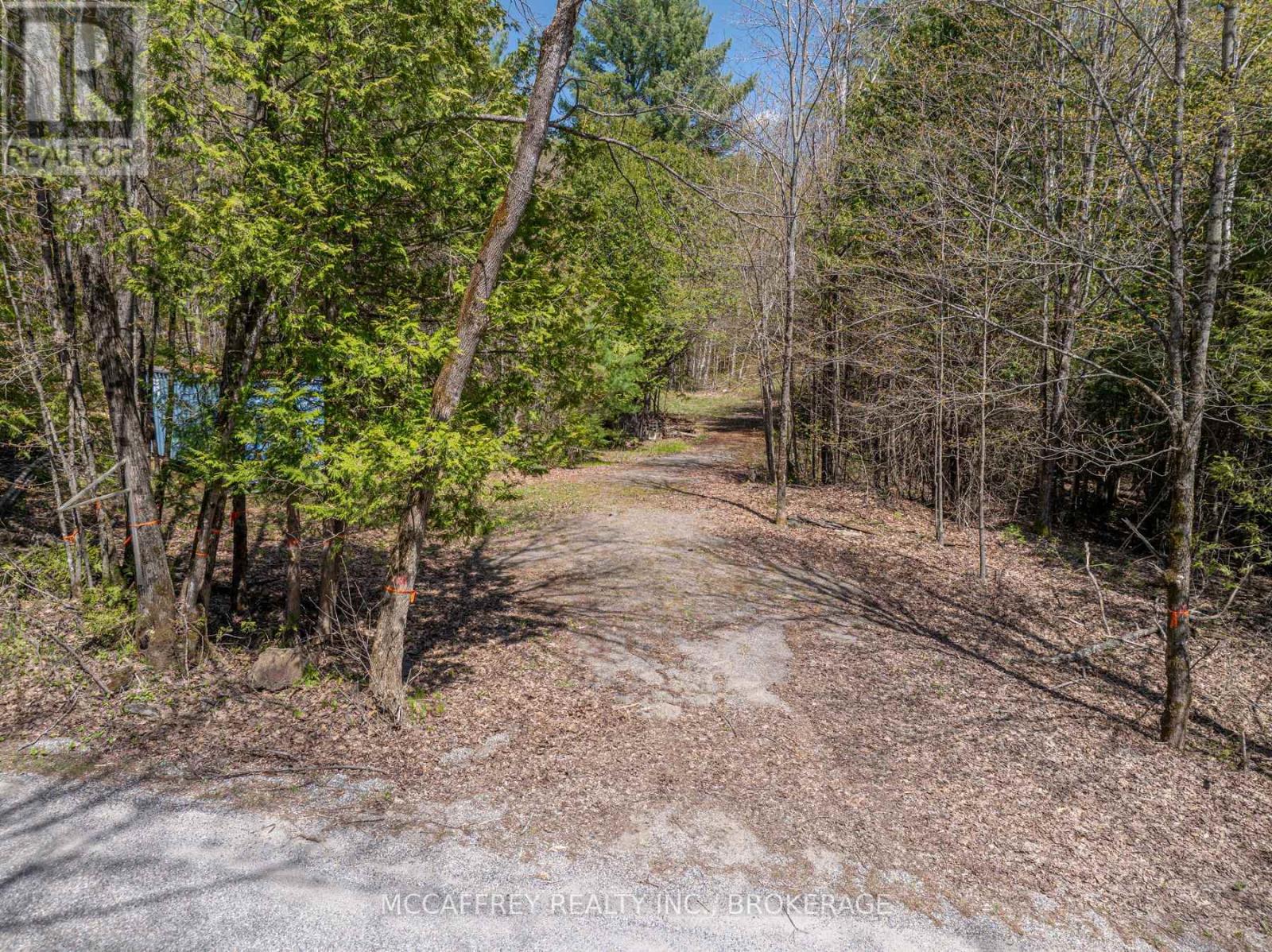 1088 Kashwakamak Lake Road, Frontenac, Ontario  K0H 1B0 - Photo 2 - X12400172