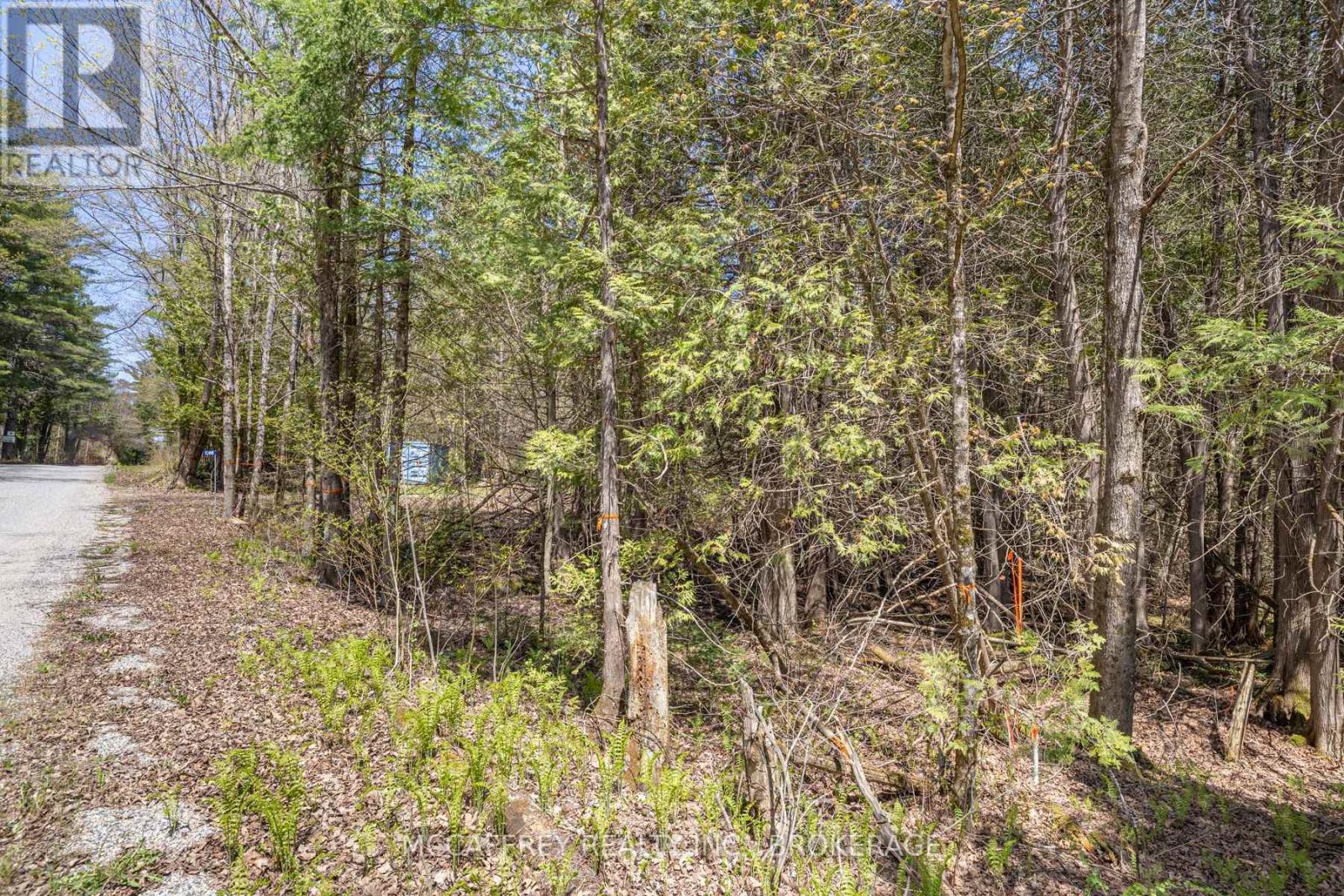 1088 Kashwakamak Lake Road, Frontenac, Ontario  K0H 1B0 - Photo 24 - X12400172