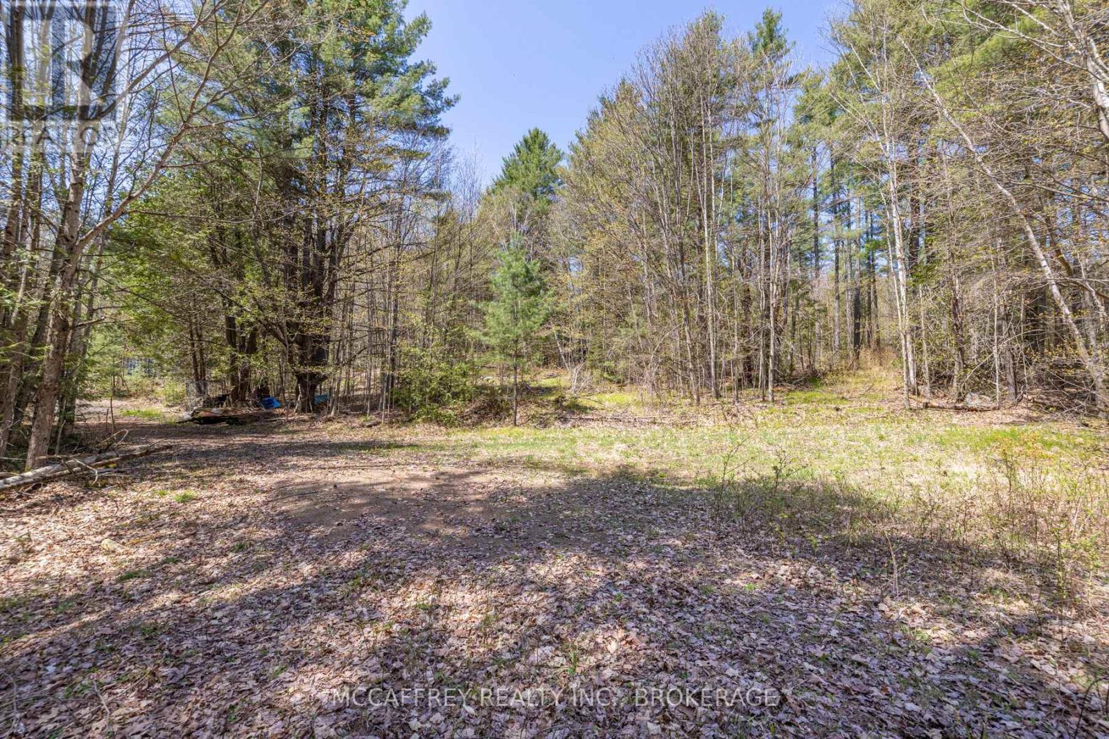 1088 Kashwakamak Lake Road, Frontenac, Ontario  K0H 1B0 - Photo 29 - X12400172