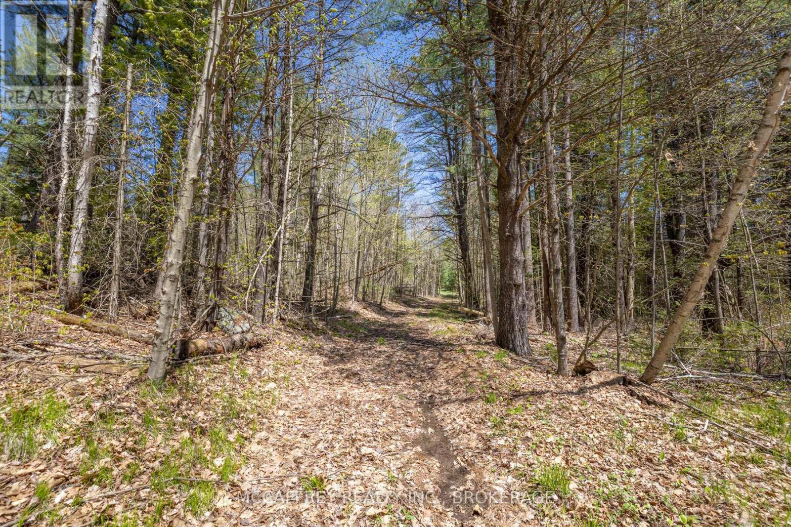 1088 Kashwakamak Lake Road, Frontenac, Ontario  K0H 1B0 - Photo 31 - X12400172