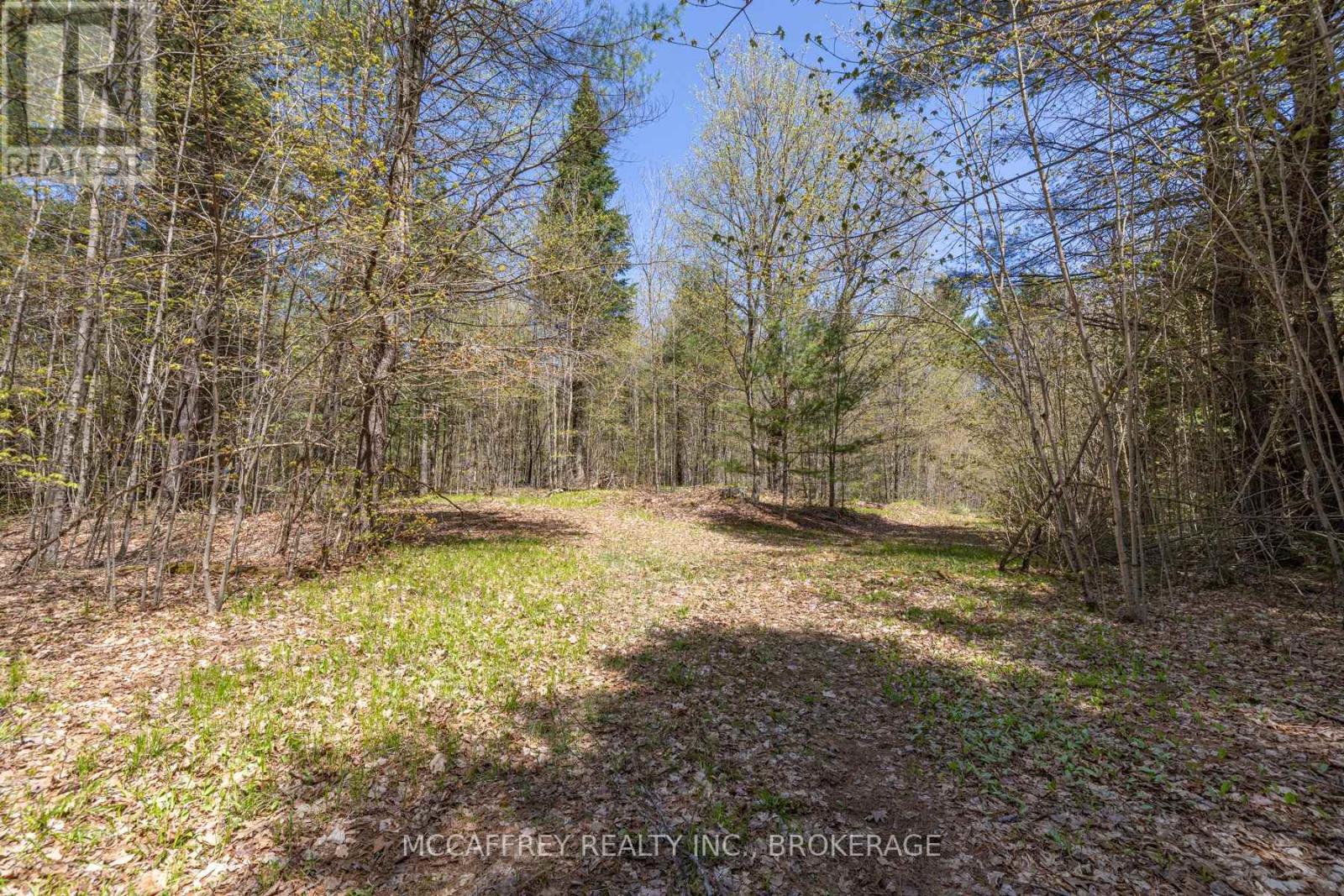 1088 Kashwakamak Lake Road, Frontenac, Ontario  K0H 1B0 - Photo 35 - X12400172