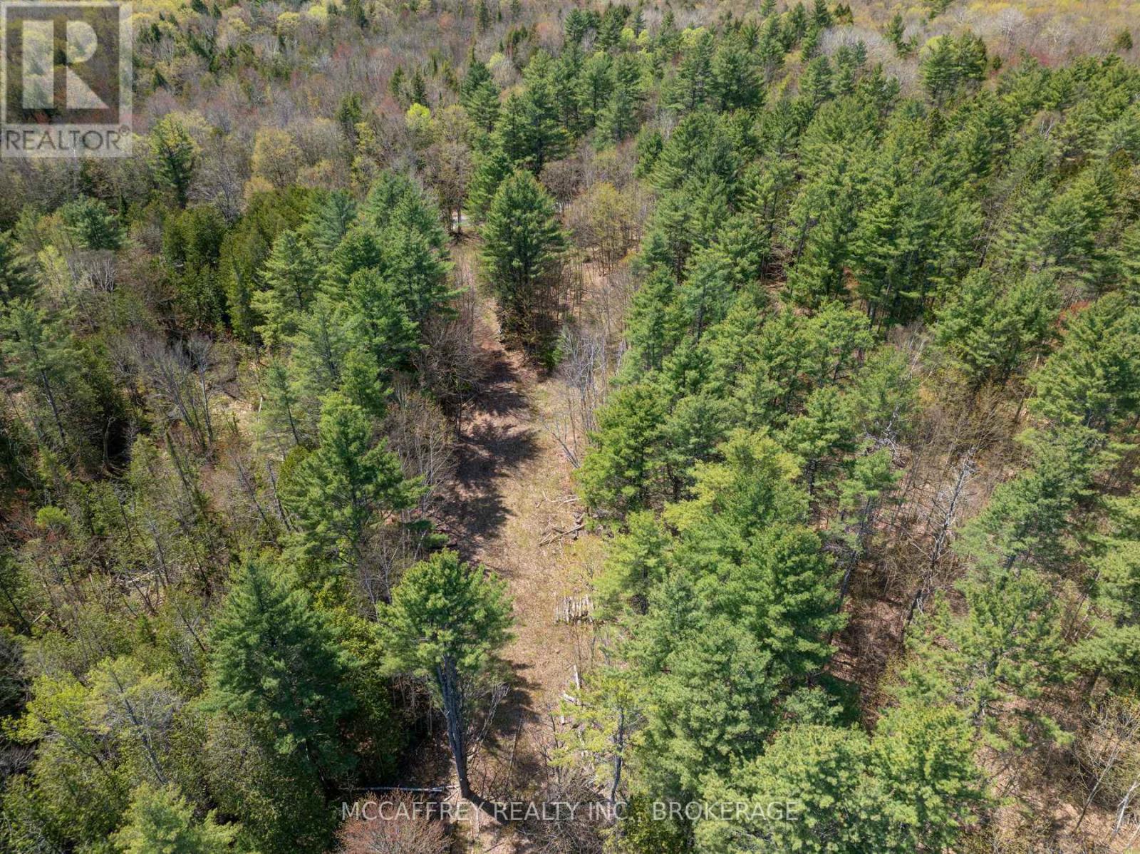 1088 Kashwakamak Lake Road, Frontenac, Ontario  K0H 1B0 - Photo 4 - X12400172