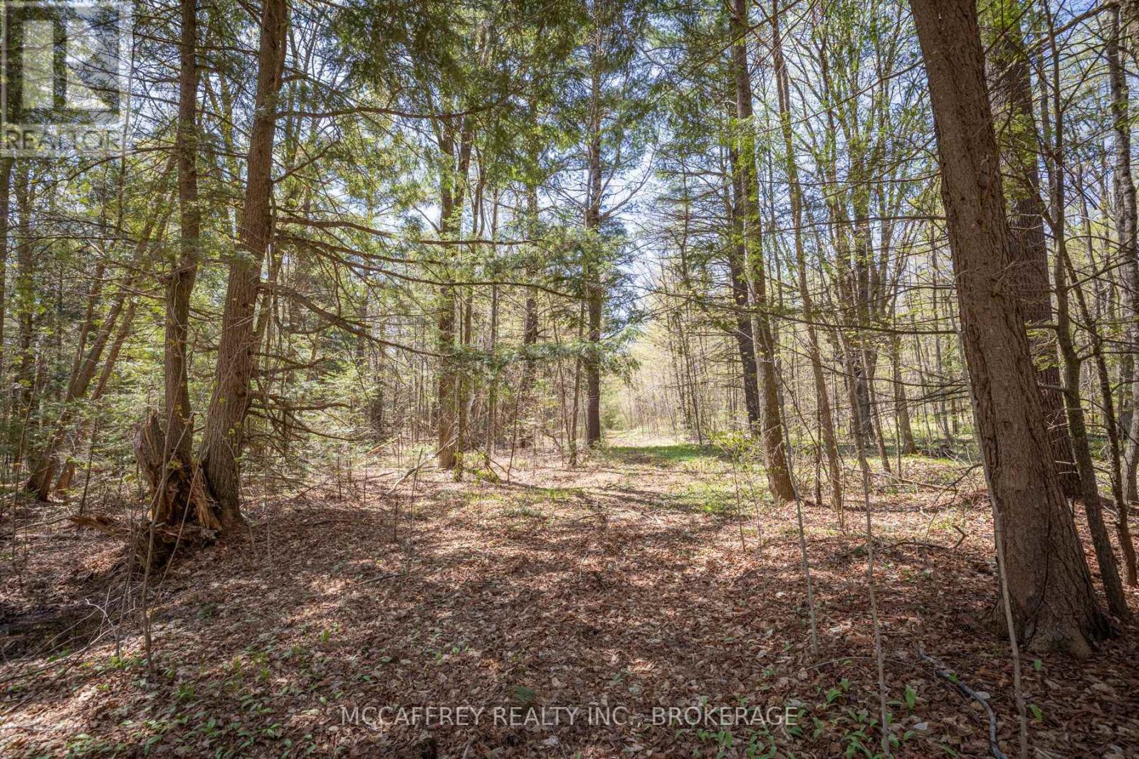 1088 Kashwakamak Lake Road, Frontenac, Ontario  K0H 1B0 - Photo 47 - X12400172