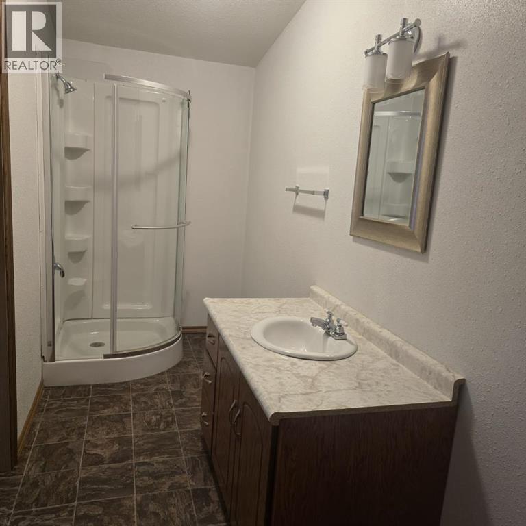 4824 52 Street, Lougheed, Alberta  T0B 2V0 - Photo 6 - A2256196