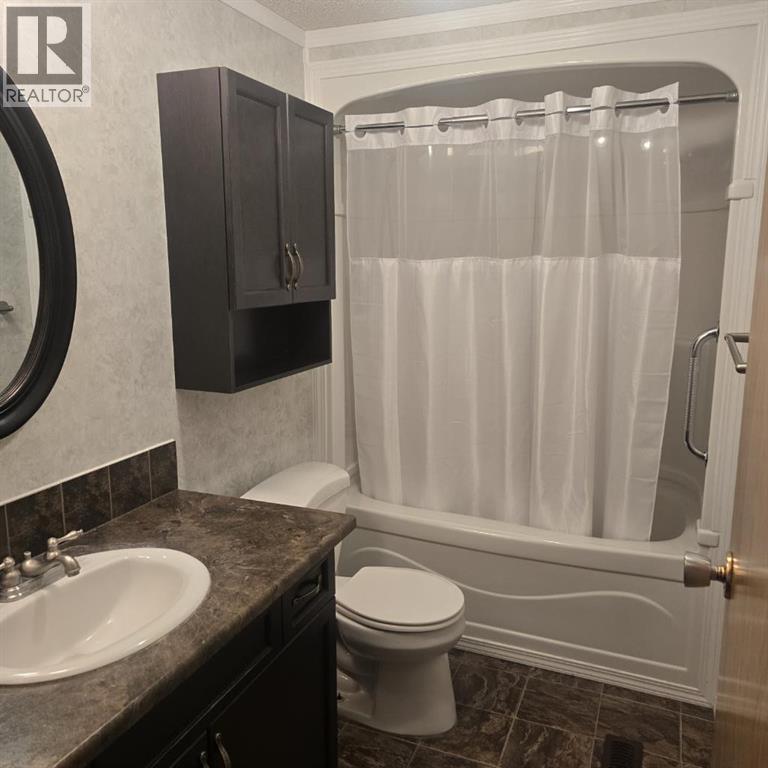 4824 52 Street, Lougheed, Alberta  T0B 2V0 - Photo 9 - A2256196