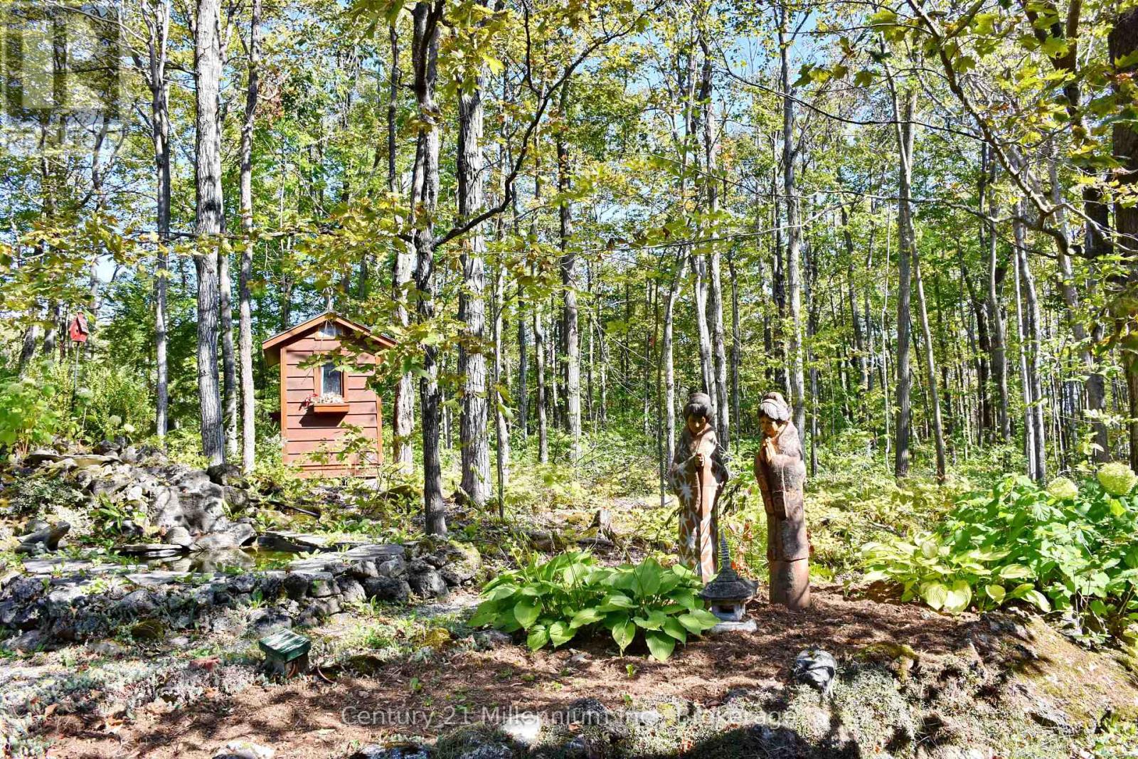 1415 County Rd 124 Road, Clearview, Ontario  L0M 1H0 - Photo 39 - S12399519