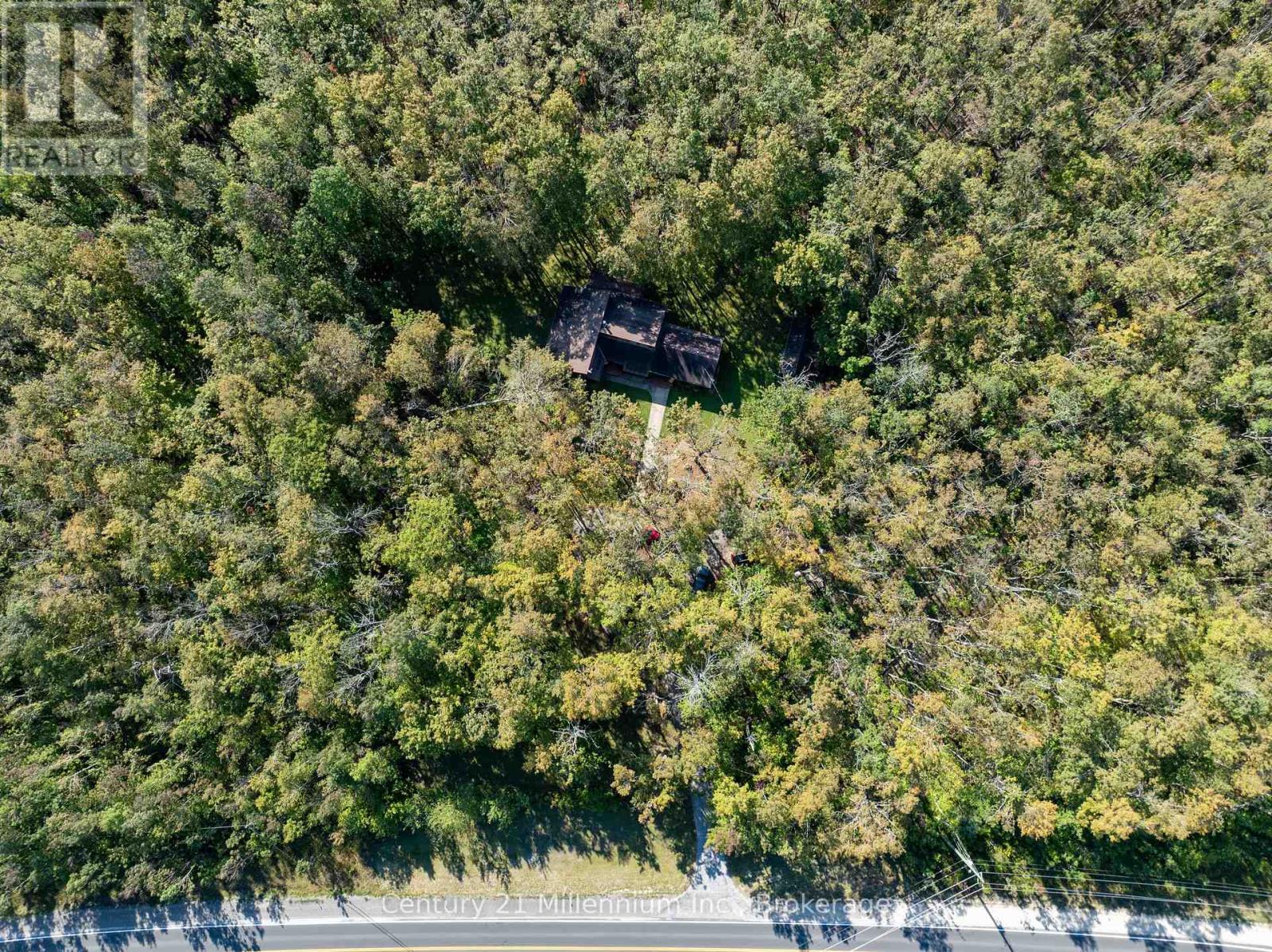 1415 County Rd 124 Road, Clearview, Ontario  L0M 1H0 - Photo 41 - S12399519