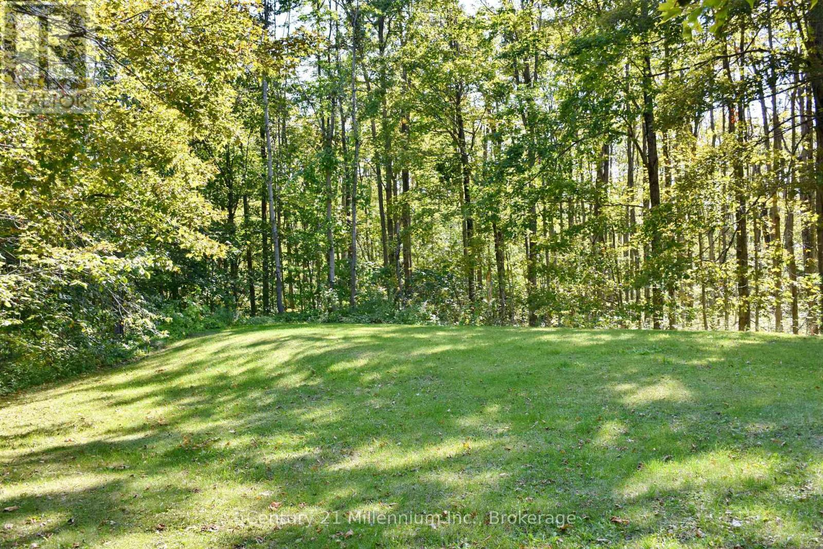 1415 County Rd 124 Road, Clearview, Ontario  L0M 1H0 - Photo 40 - S12399519