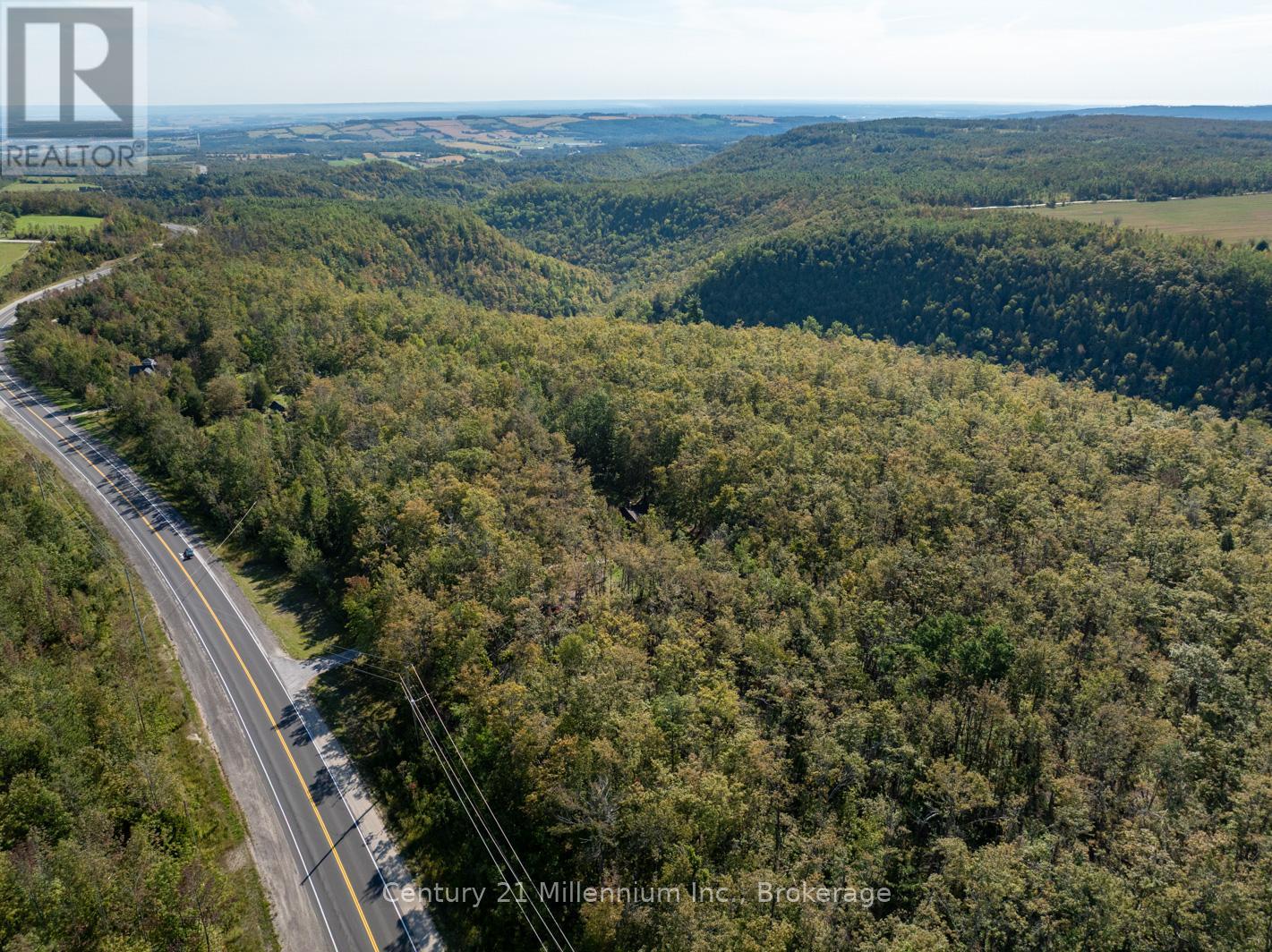 1415 County Rd 124 Road, Clearview, Ontario  L0M 1H0 - Photo 45 - S12399519