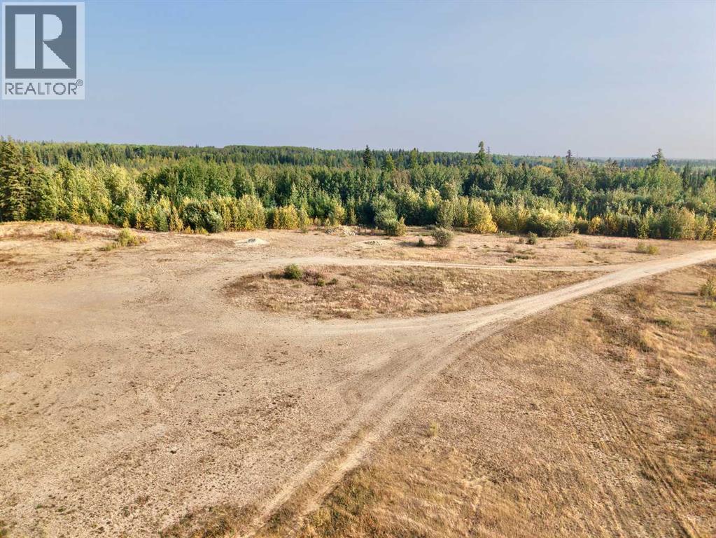 233077 Highway 2, Rural Peace No. 135, Alberta  T0H 1W0 - Photo 12 - A2255948