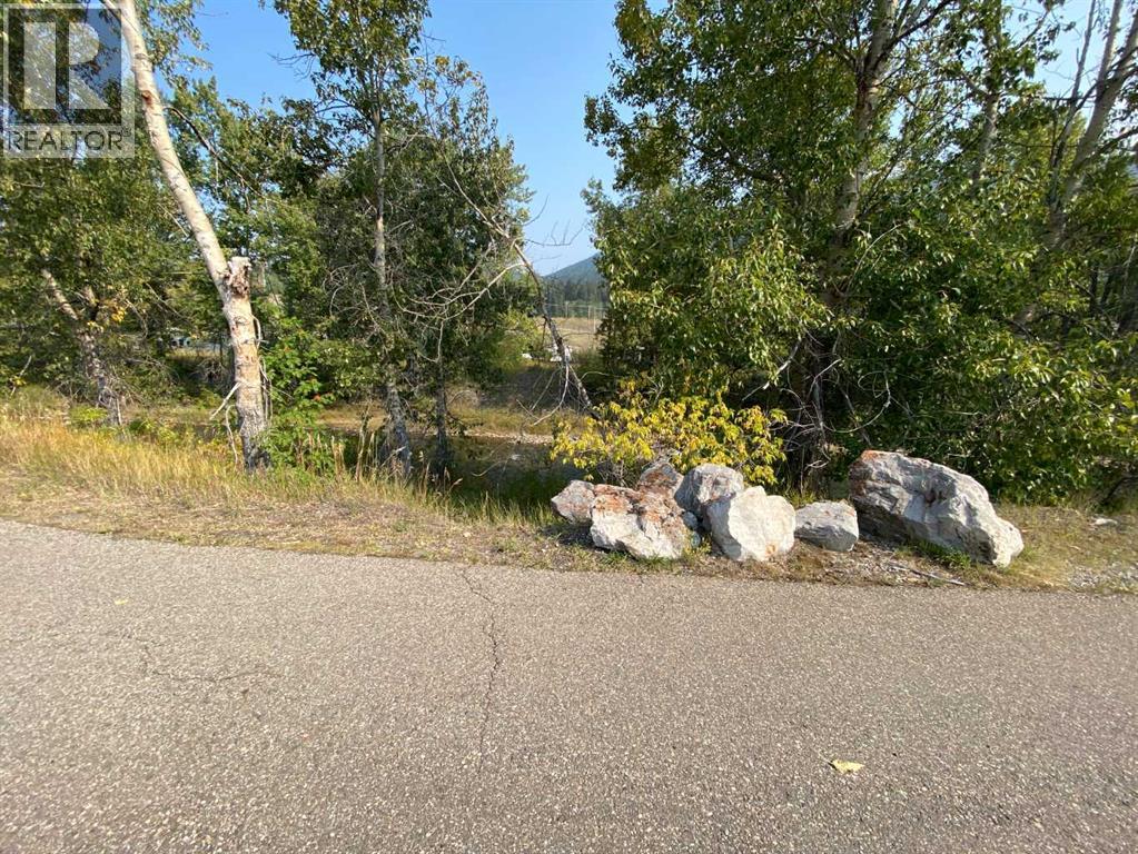 2131 (Unit 1) 128 Street, Blairmore, Alberta  T0K 0E0 - Photo 4 - A2255476