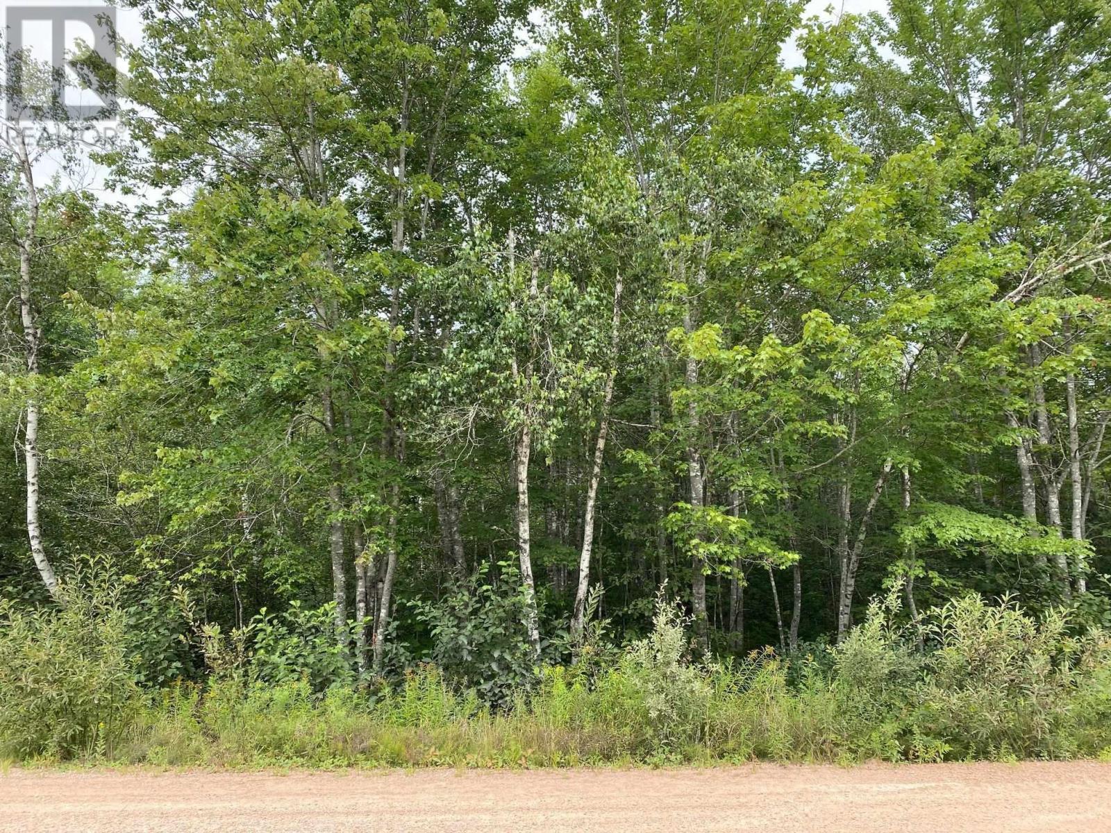 Lot Pid#05173786 Hastings Road, Springfield, Nova Scotia  B0R 1H0 - Photo 5 - 202523206