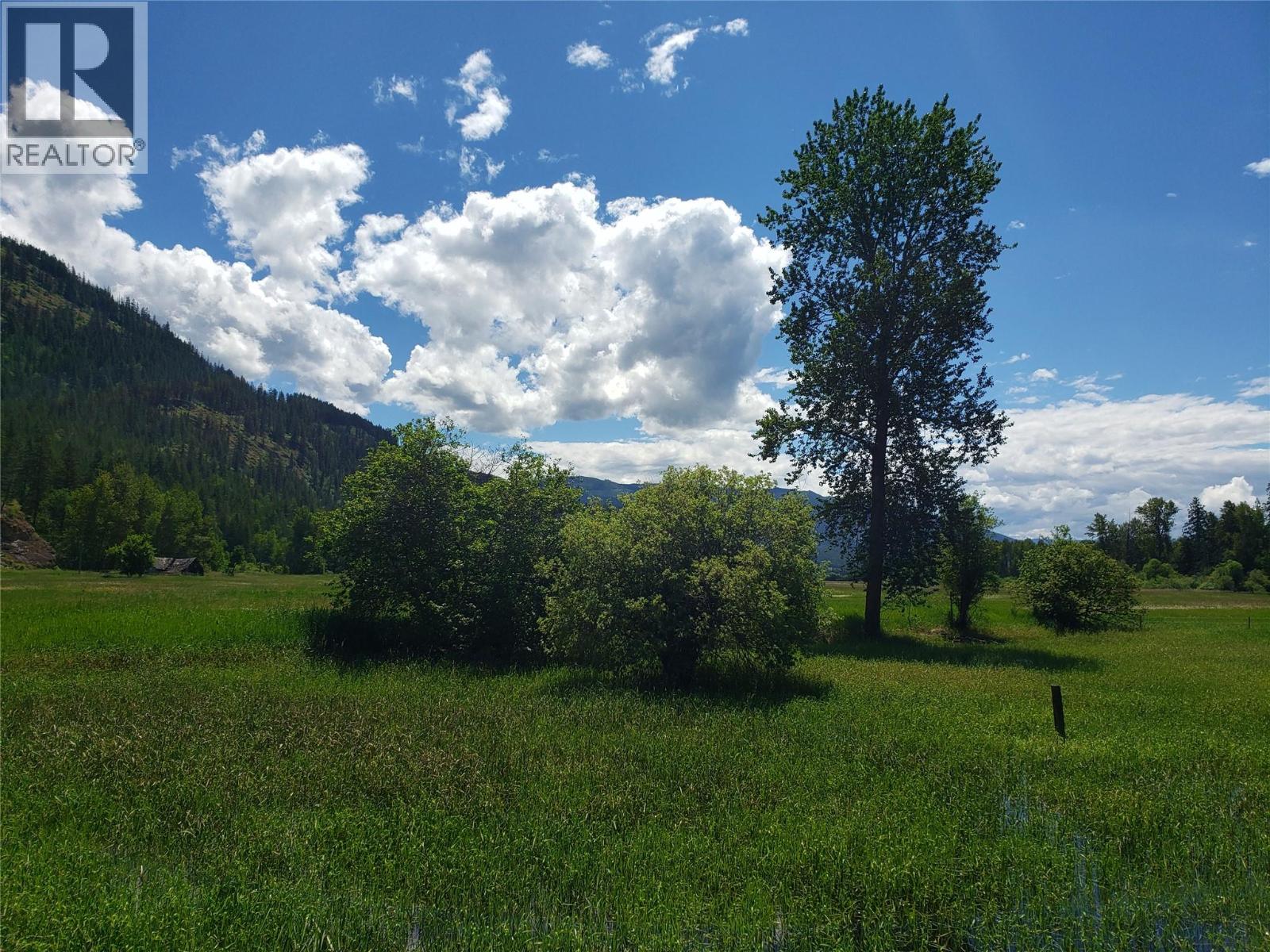 3022 Mabel Lake Road, Lumby, British Columbia  V0E 2G6 - Photo 8 - 10362740