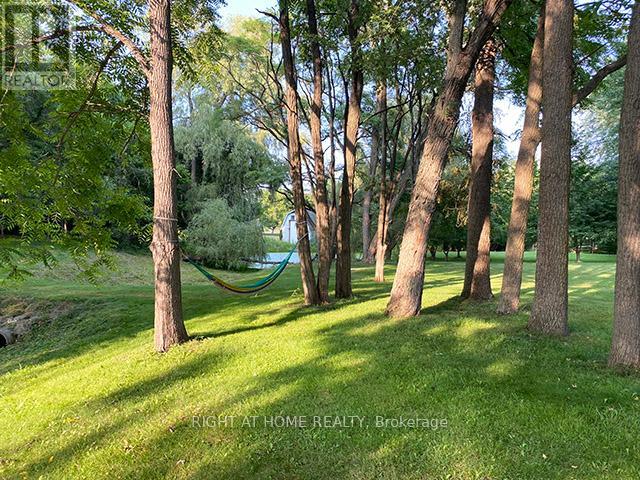 7454 Old Church Road, Caledon, Ontario  L7C 0H5 - Photo 37 - W12320638