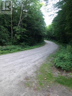 1898 Axe Lake Road, Mcmurrich/monteith, Ontario  P0A 1Y0 - Photo 16 - X12400399