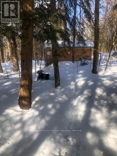 1898 Axe Lake Road, Mcmurrich/monteith, Ontario  P0A 1Y0 - Photo 19 - X12400399