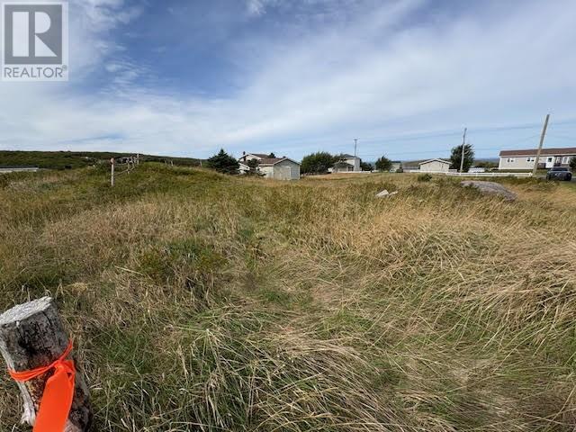9 Buttons Hill, Old Perlican, Newfoundland & Labrador  A0A 3G0 - Photo 30 - 1290289