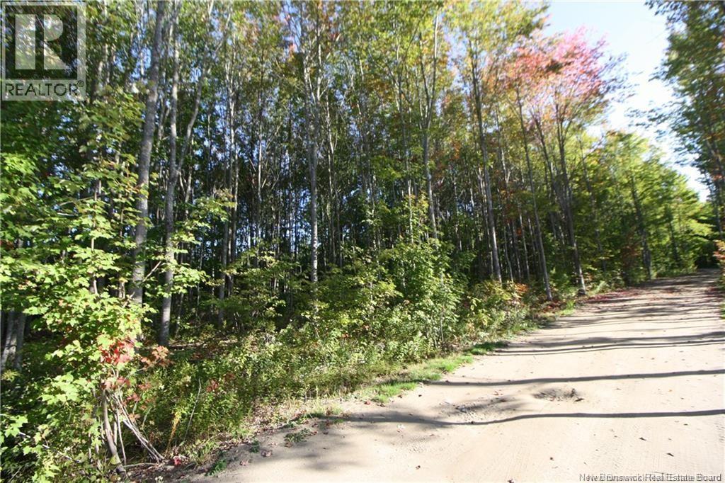 Lot 20-12 Michael Joo Road, Fords Mills, New Brunswick  E4T 0H1 - Photo 14 - NB126617