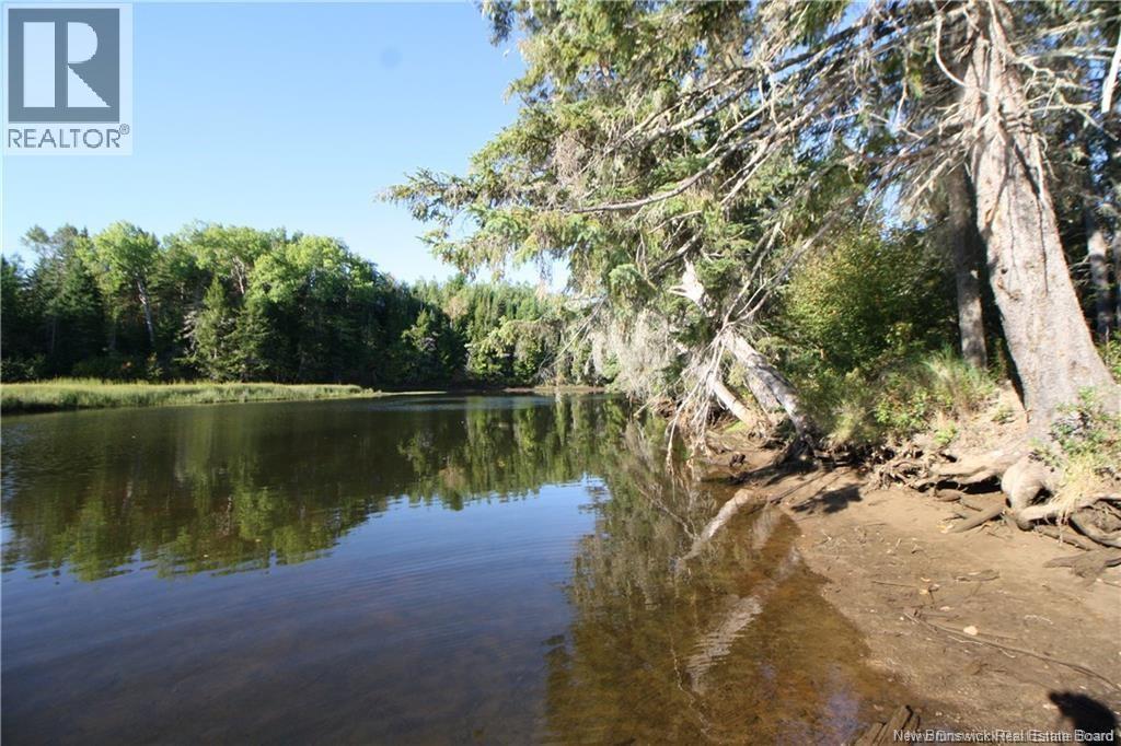 Lot 20-12 Michael Joo Road, Fords Mills, New Brunswick  E4T 0H1 - Photo 17 - NB126617