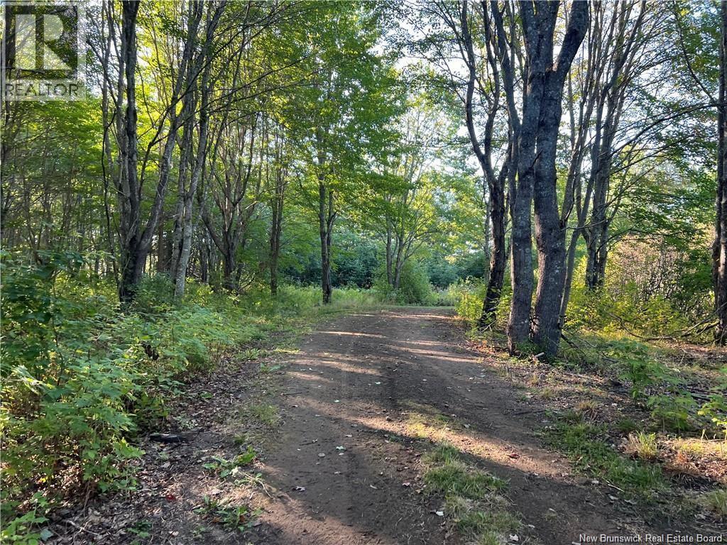 Lot 20-12 Michael Joo Road, Fords Mills, New Brunswick  E4T 0H1 - Photo 4 - NB126617