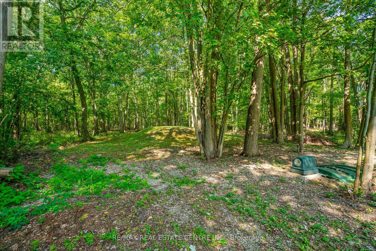 2377 Ott Road, Fort Erie, Ontario  L0S 1S0 - Photo 34 - X12400254