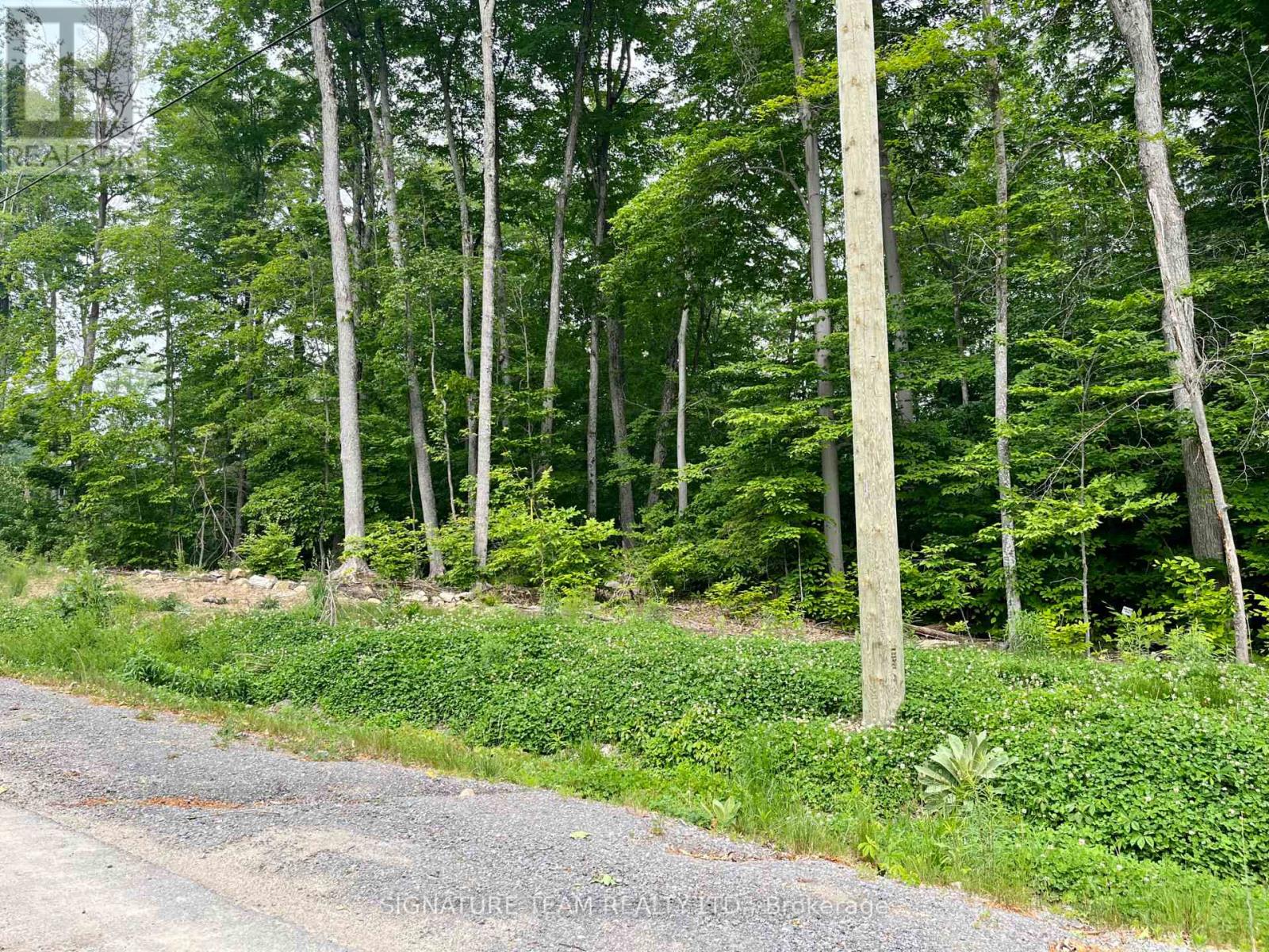 131 Shady Maple Road, Mcnab/braeside, Ontario  K0J 1G0 - Photo 30 - X12400588