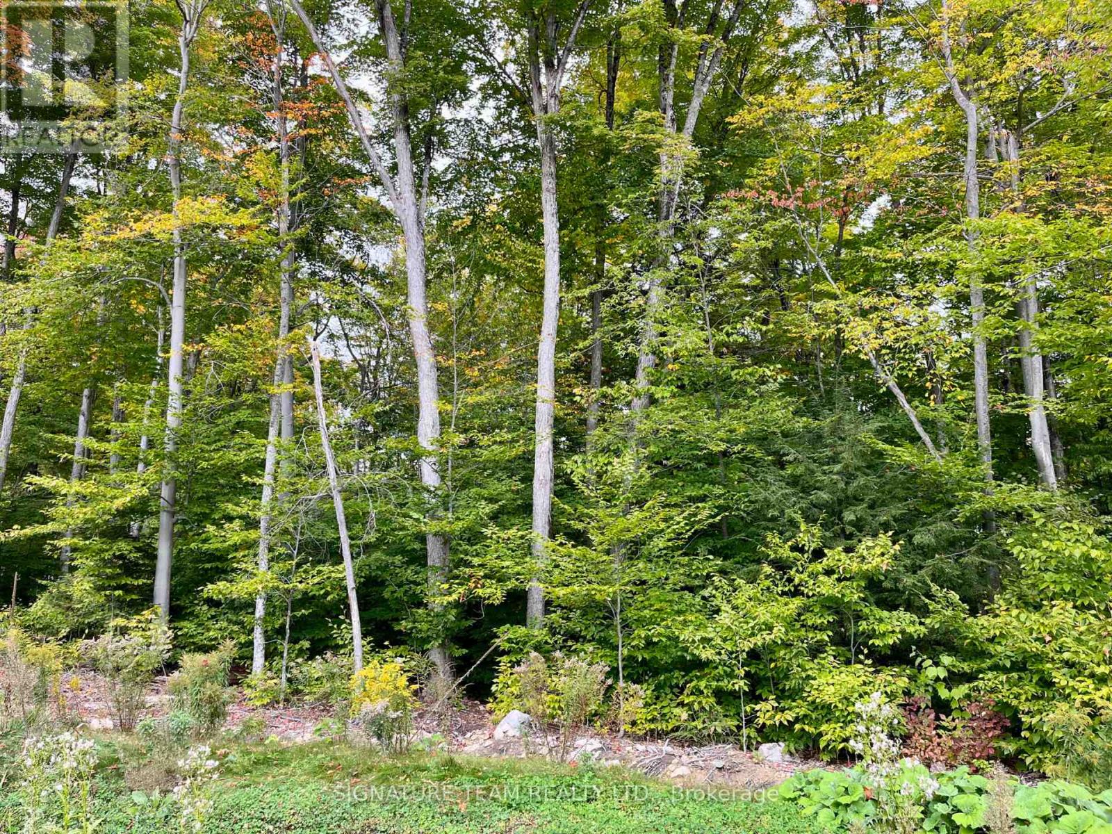 131 Shady Maple Road, Mcnab/braeside, Ontario  K0J 1G0 - Photo 31 - X12400588