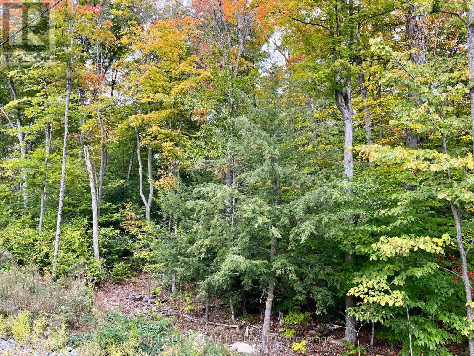 131 Shady Maple Road, Mcnab/braeside, Ontario  K0J 1G0 - Photo 33 - X12400588