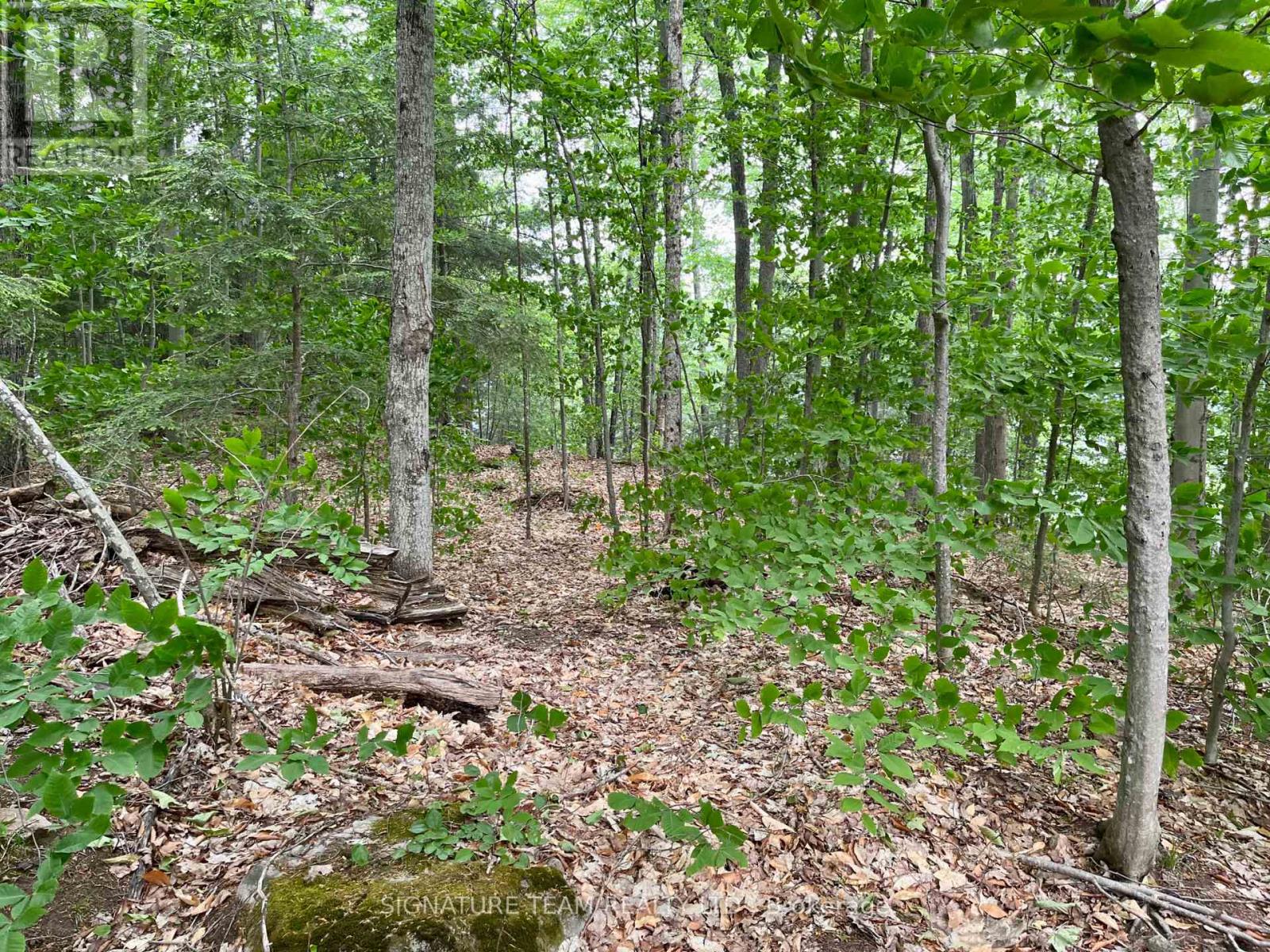 131 Shady Maple Road, Mcnab/braeside, Ontario  K0J 1G0 - Photo 40 - X12400588