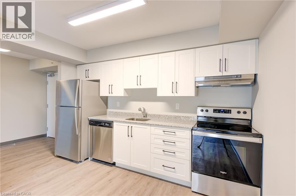 Lorem Ipsum Dolor Sit Amet,, Kitchener, Ontario  N2E  - Photo 18 - DEMO28856083