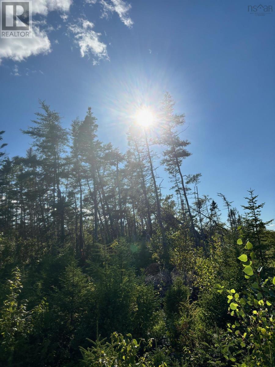 Lot 2 Highway 7, Port Dufferin, Nova Scotia  B0J 2R0 - Photo 13 - 202523230