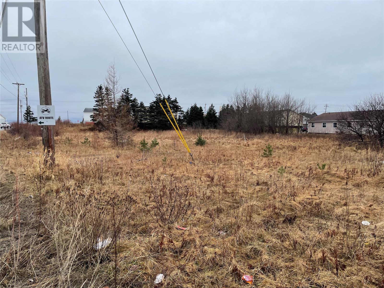93 West Street And 17 Boland Drive, Stephenville, Newfoundland & Labrador  A2N 1E6 - Photo 1 - 1290378