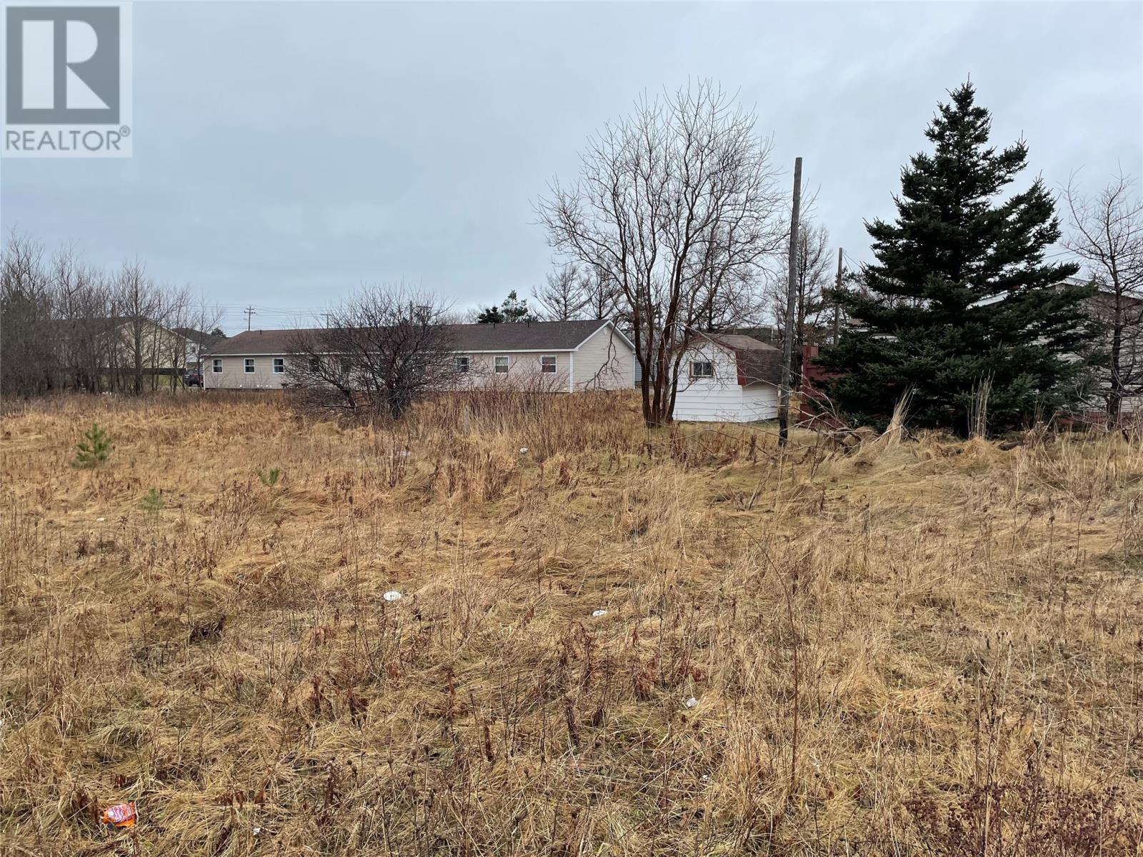 93 West Street And 17 Boland Drive, Stephenville, Newfoundland & Labrador  A2N 1E6 - Photo 2 - 1290378