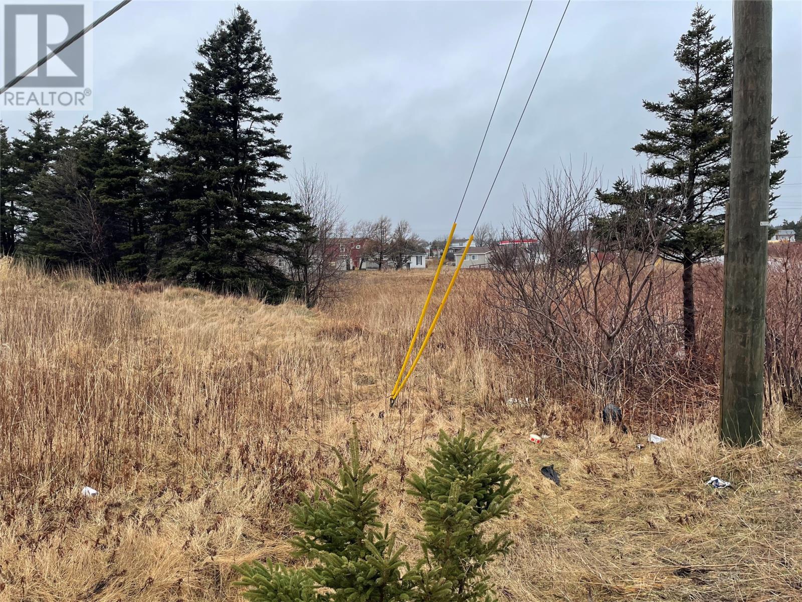 93 West Street And 17 Boland Drive, Stephenville, Newfoundland & Labrador  A2N 1E6 - Photo 3 - 1290378