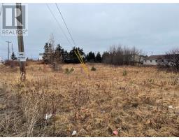 93 West Street AND 17 Boland Drive, Stephenville, Newfoundland & Labrador