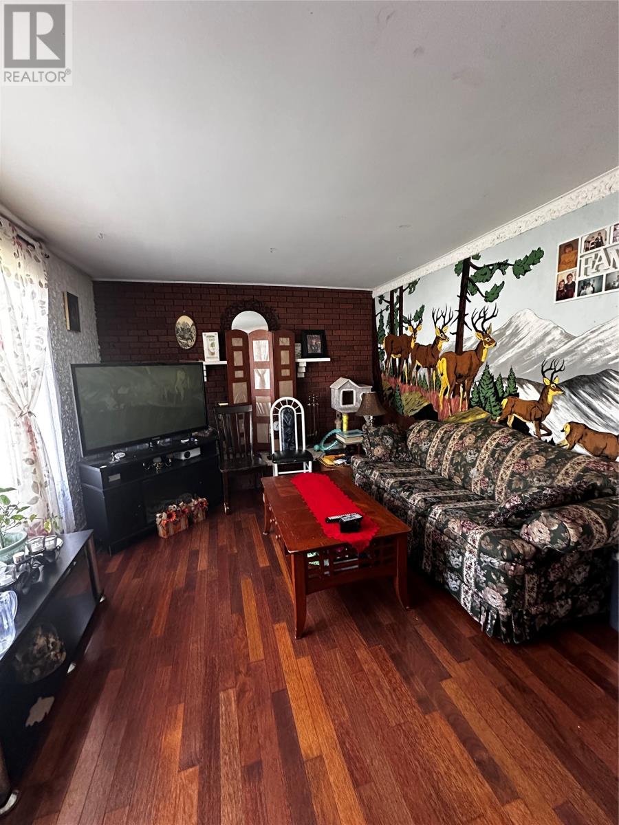 14 Birch Street, Deer Lake, Newfoundland & Labrador  A8A 1D4 - Photo 4 - 1290365