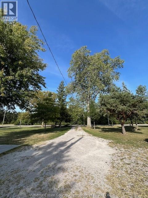 394 Robson Road, Leamington, Ontario  N8H 0A6 - Photo 29 - 25023277