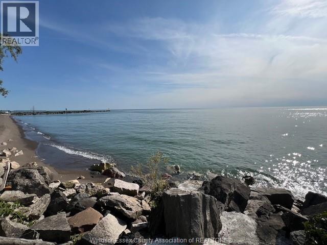 394 Robson Road, Leamington, Ontario  N8H 0A6 - Photo 32 - 25023277