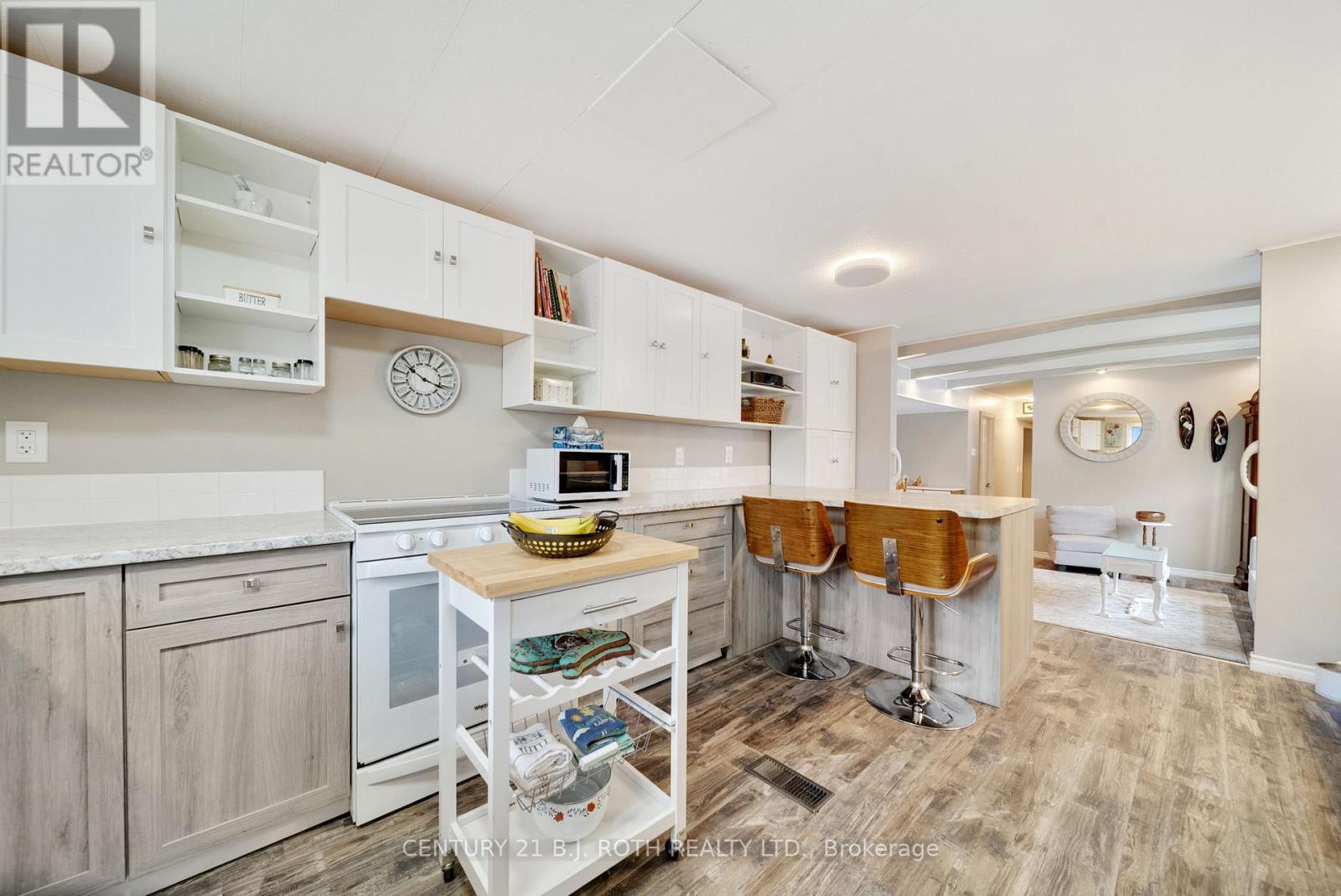46 Cameron Drive, Oro-Medonte, Ontario  L0L 1T0 - Photo 11 - S12343736